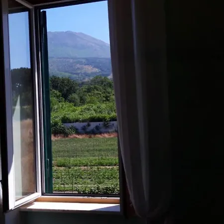 Farma Mazza Al Vesuvio Torre del Greco