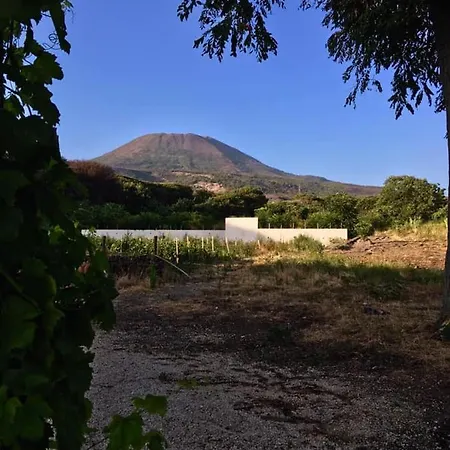 Mazza Al Vesuvio ファームステイ トッレ・デル・グレコ